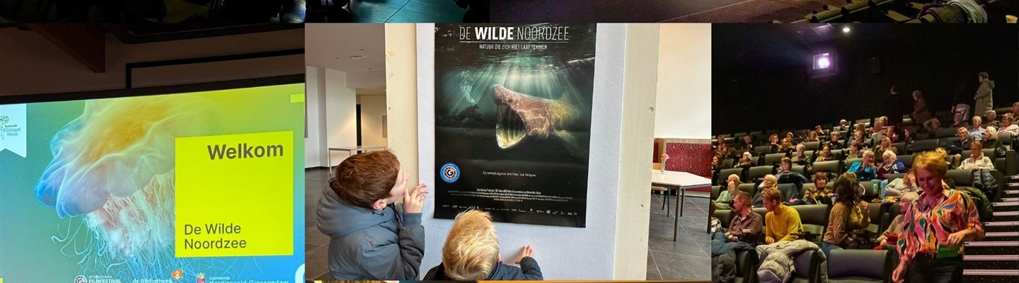foww filmfestival