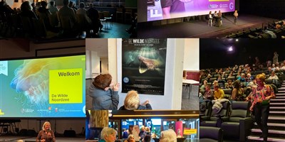 foww filmfestival