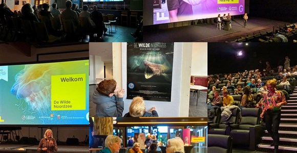 foww filmfestival